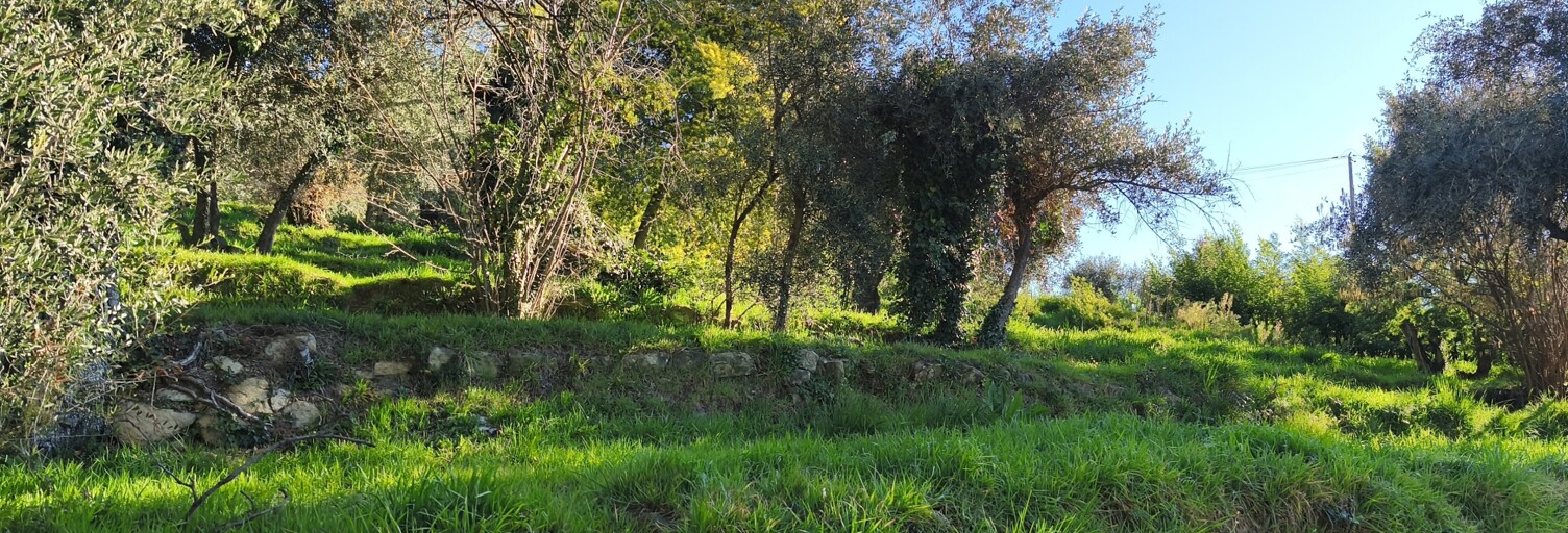 Terrain  850 m² à vendre à Coaraze (06390)