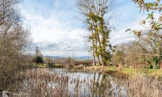 Maison 7 Pièces 182 m² à vendre à Chessy (69380)