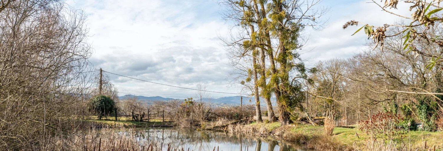 Maison 7 Pièces 182 m² à vendre à Chessy (69380)