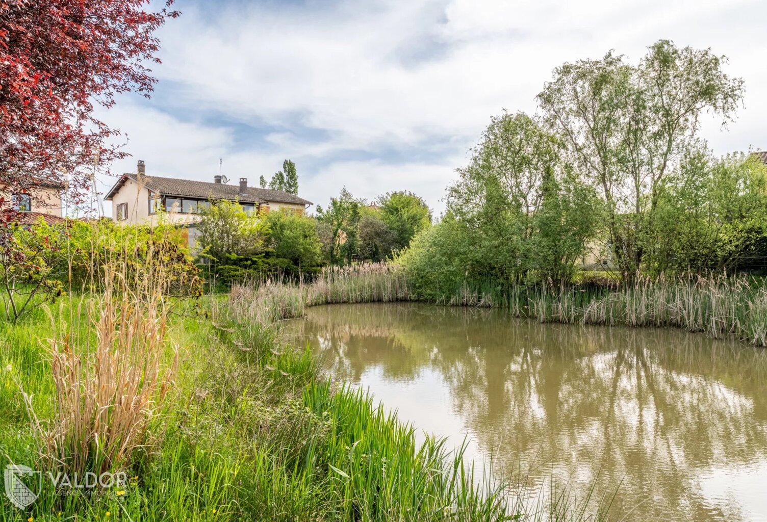 Maison Traditionnelle- avec Terrain et Etang — photo 1