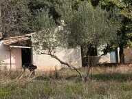 Maison 5 pièces 44 m² — photo 4