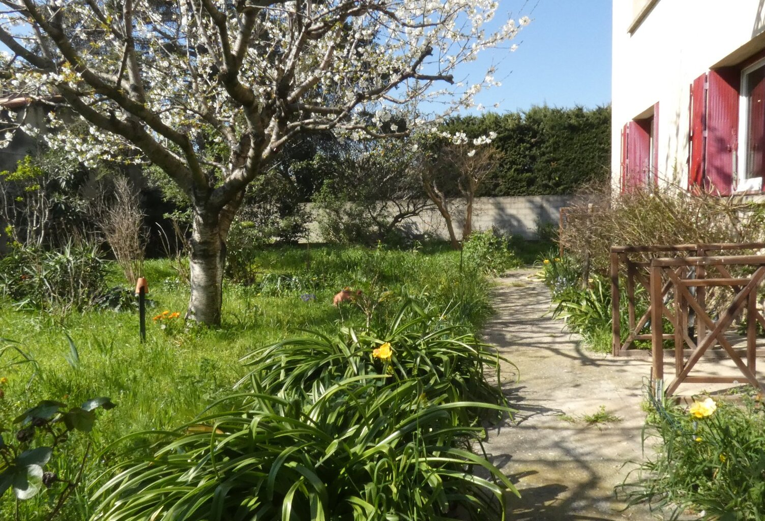 Maison — photo 1