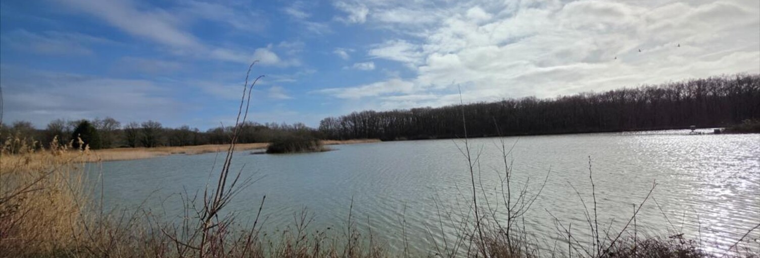 Terrain  72531 m² à vendre à Mézières-en-Brenne (36290)