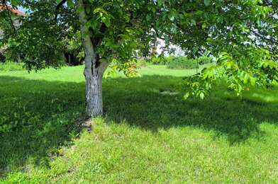 Terrain  49900 €