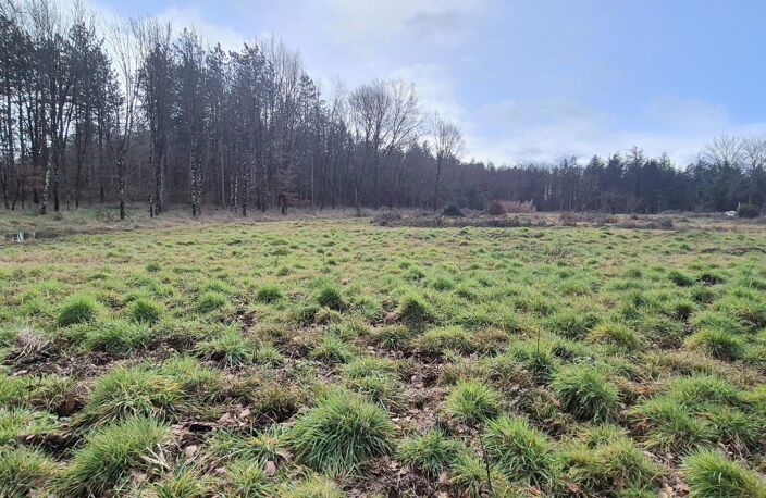 Terrain viabilisé de 1170 m² -Villematier — photo 3
