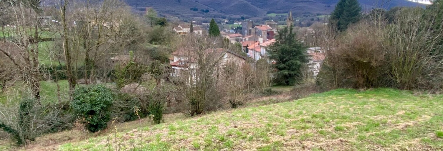 Terrain  1666 m² à vendre à Saint-Amans-Valtoret (81240)