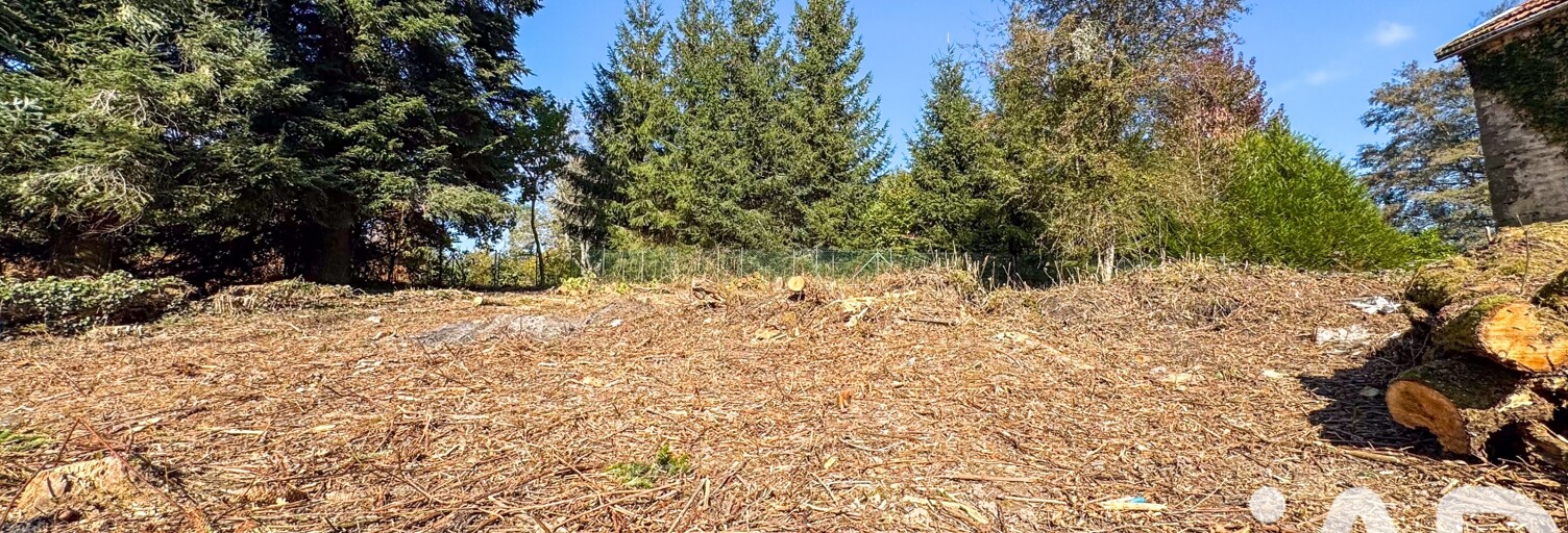 Maison 5 Pièces 80 m² à vendre à La Chapelle-aux-Bois (88240)