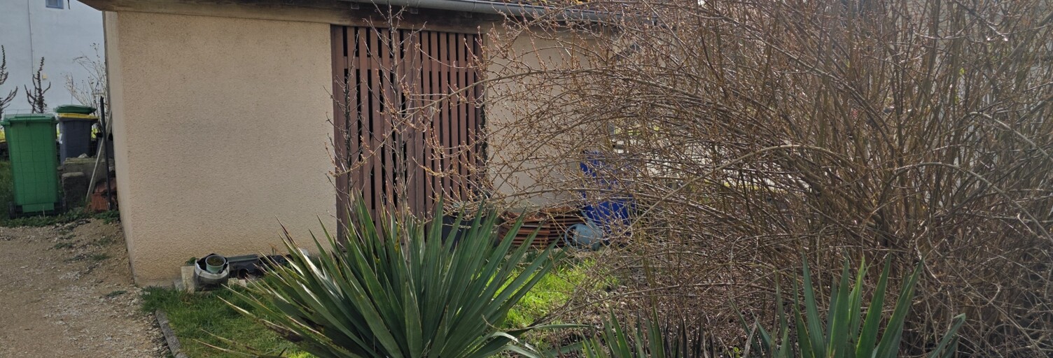 Photo N° 2