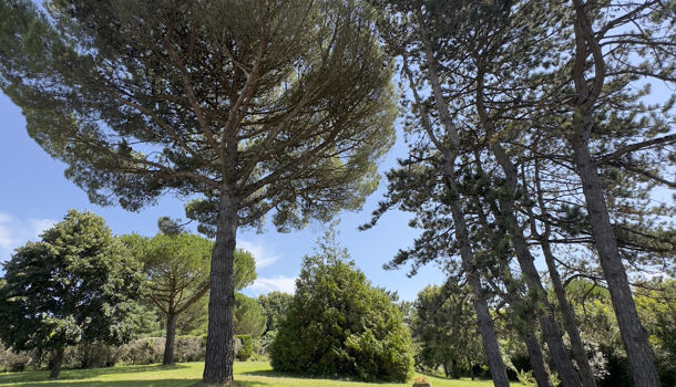 Villa / Maison 6 pièces  à vendre Saint-Palais-sur-Mer 17420