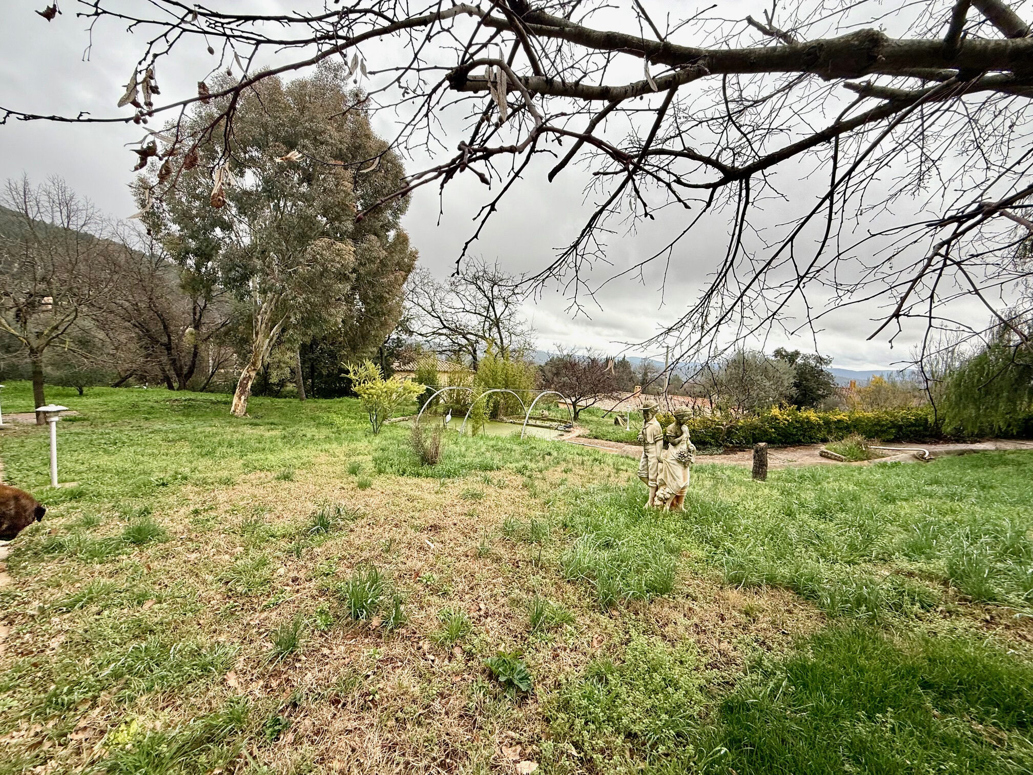 Terrain  à vendre Puget-Ville 83390