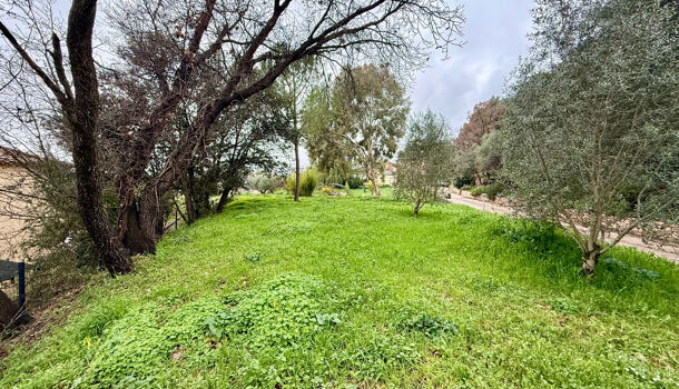 Terrain  à vendre Puget-Ville 83390