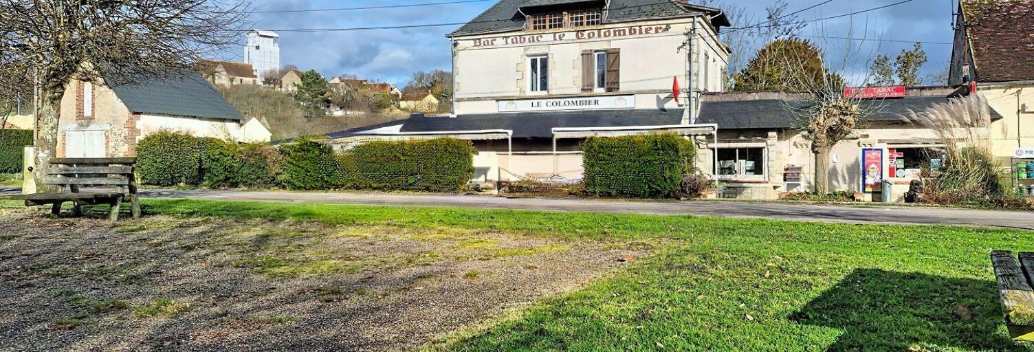 Commerce  390 m² à vendre à Rogny-les-Sept-Écluses (89220)