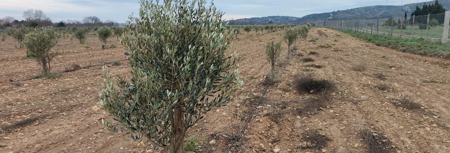 Terrain  34735 m² à vendre à Villedaigne (11200)