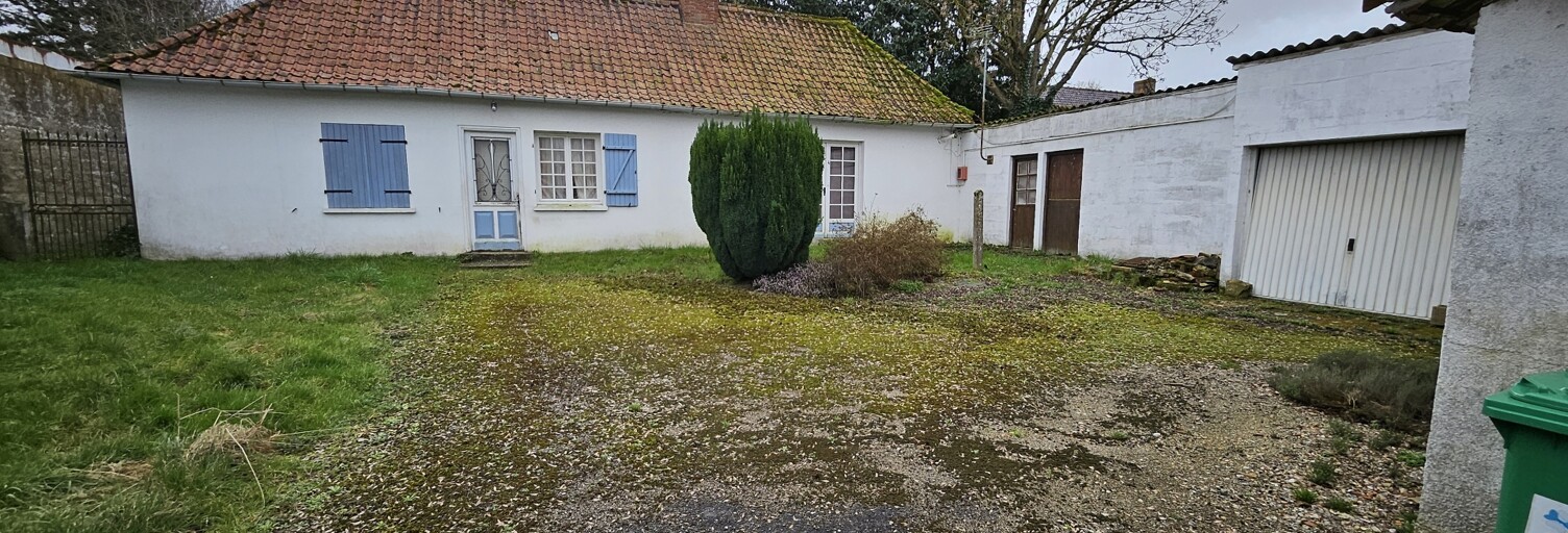 Photo N° 2