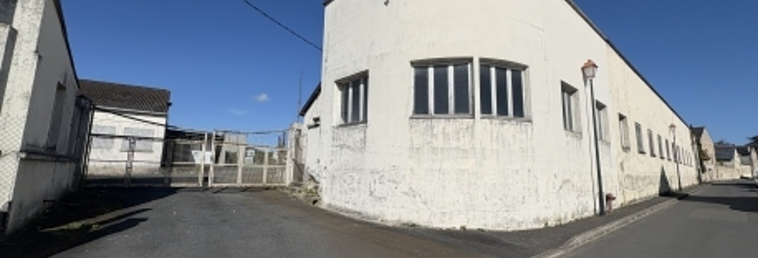 Immeuble  1722 m² à vendre à Bellevigne-les-Châteaux (49260)