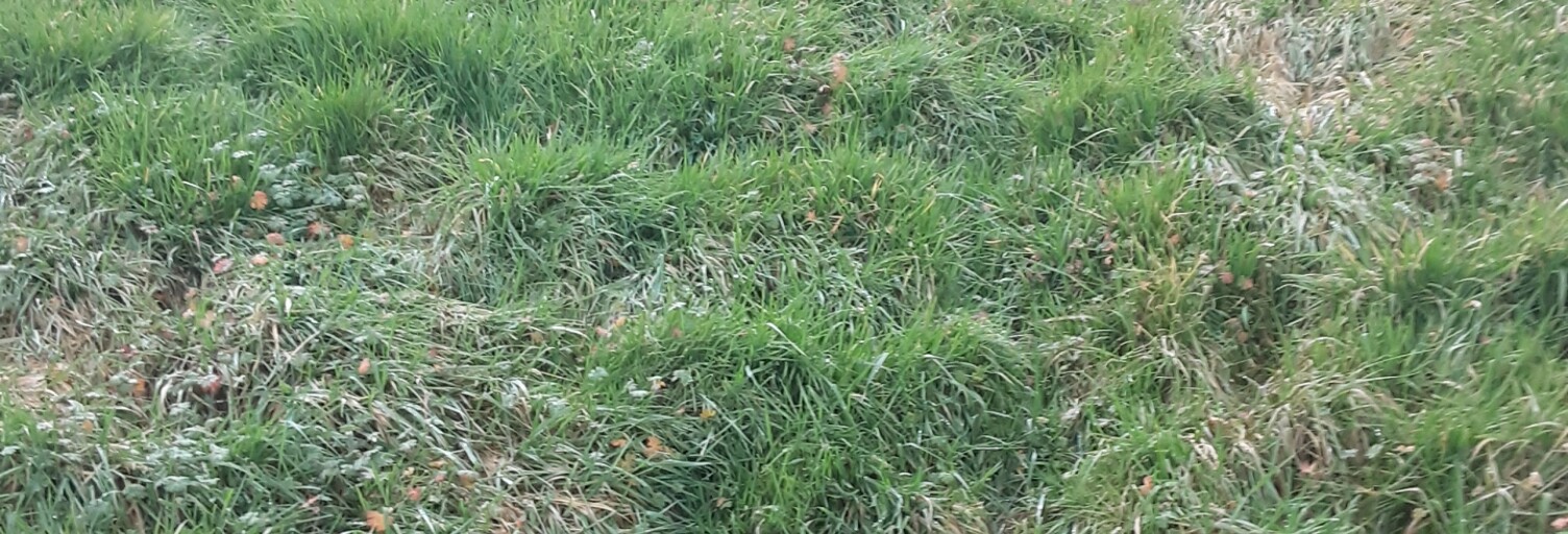 Terrain  2237 m² à vendre à Toulon-sur-Arroux (71320)