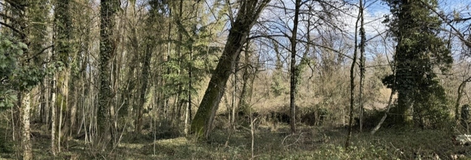 Terrain  5430 m² à vendre à Saint-Phal (10130)
