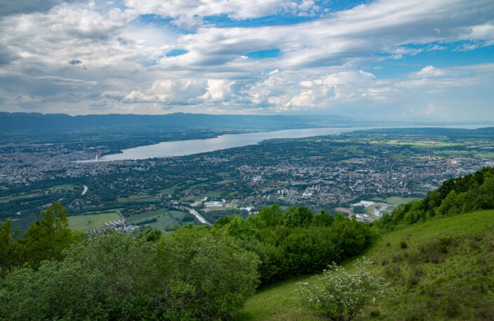 Vente programme neuf T2, T3, T4 40 à 90 m² Annemasse (74100) — photo 5