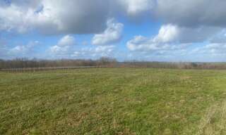 Terrain  1081 m² à vendre à Monségur (33580)