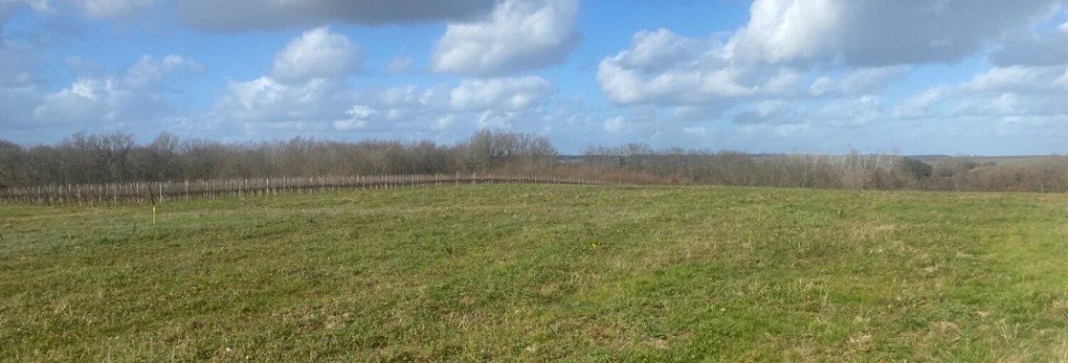 Terrain  1081 m² à vendre à Monségur (33580)