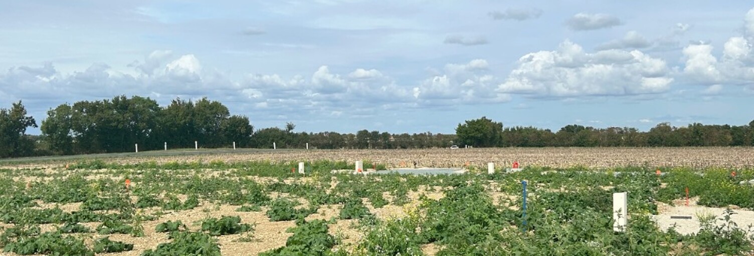 Terrain  401 m² à vendre à Saint-Jean-de-Liversay (17170)