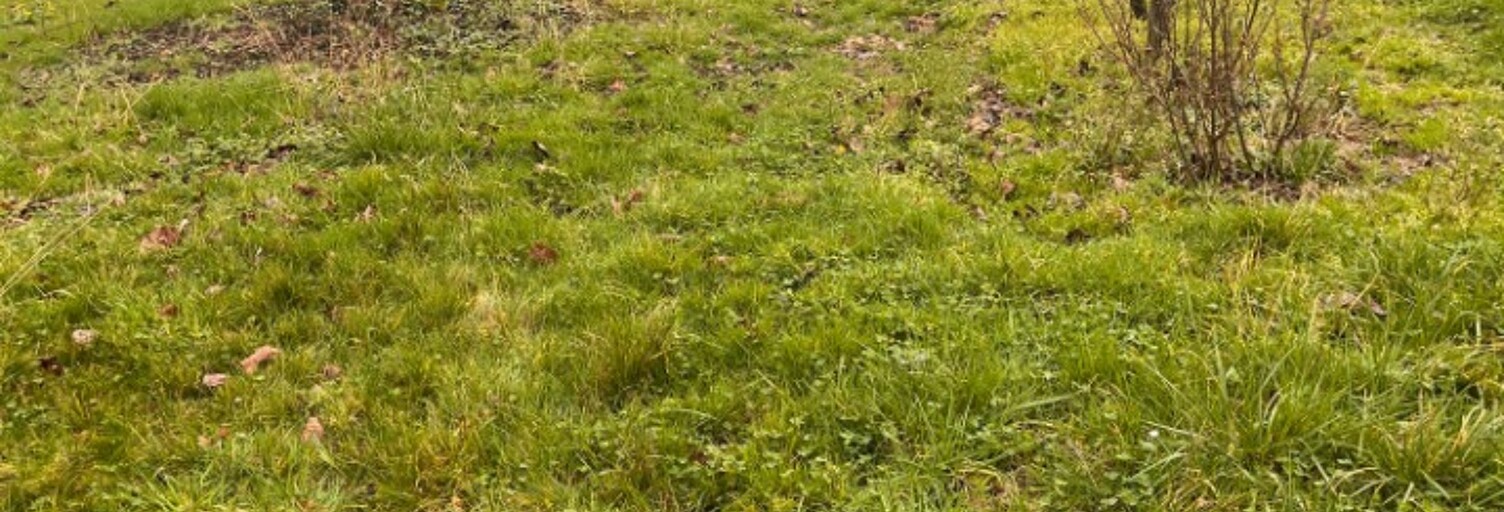 Terrain  2500 m² à vendre à Madirac (33670)