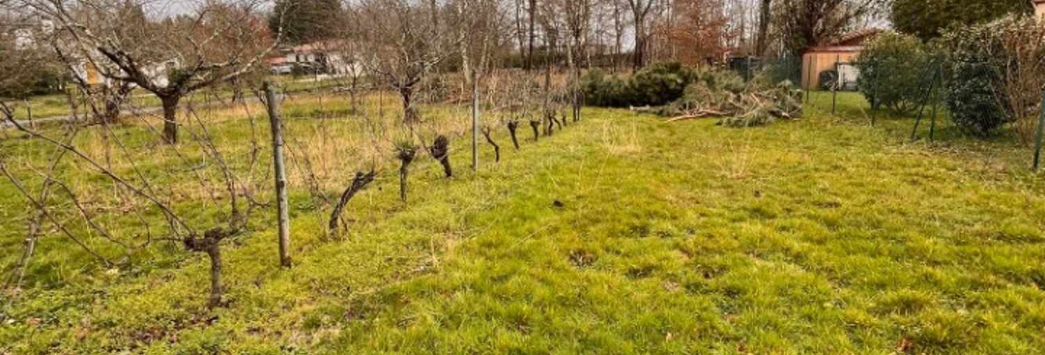 Terrain  2500 m² à vendre à Créon (33670)