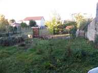 TERRAIN — photo 2