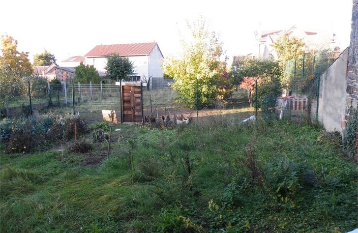 TERRAIN — photo 2
