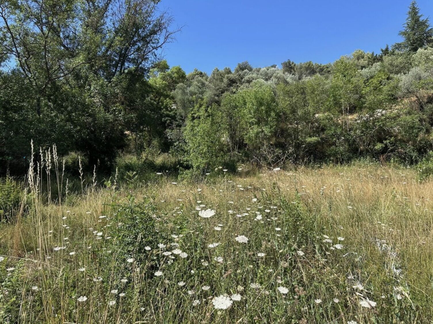 Terrain  à vendre Brignoles 83170
