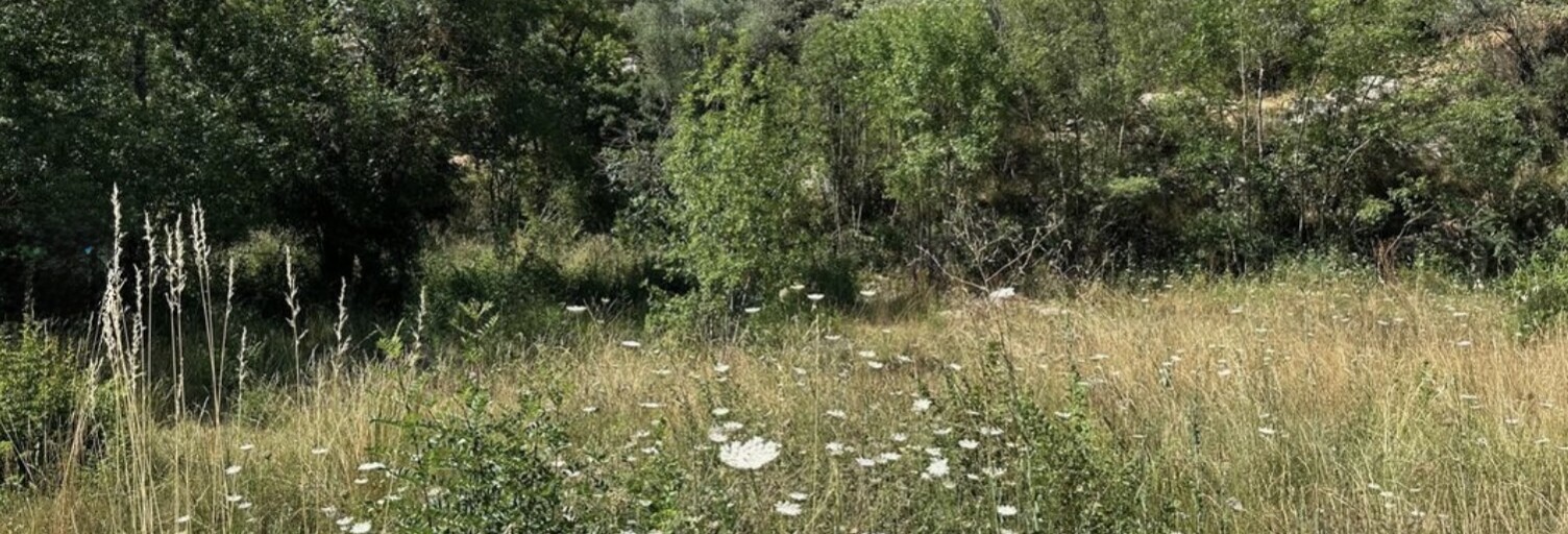 Terrain 1000 m² à construire Brignoles (83170)