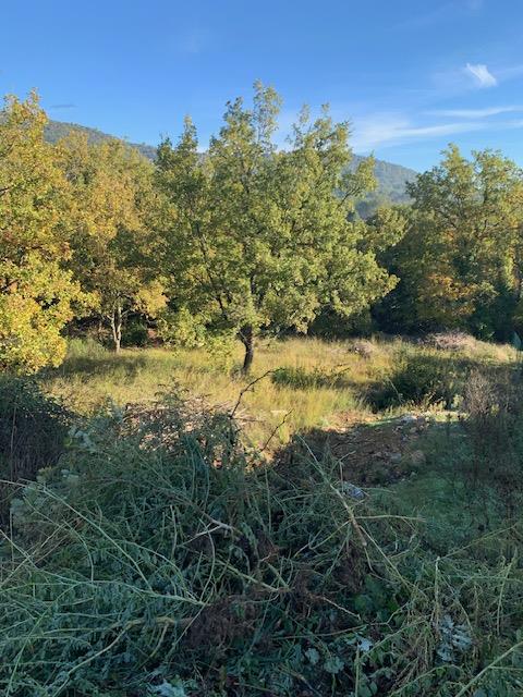 Terrain  à vendre Besse-sur-Issole 83890