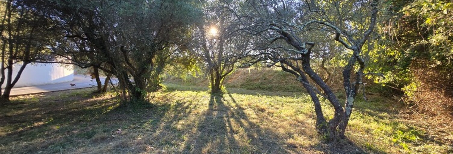 Terrain  401 m² à vendre à Castries (34160)