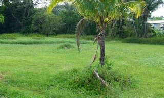 Local industriel  17822 m² à vendre à Matoury (97351)