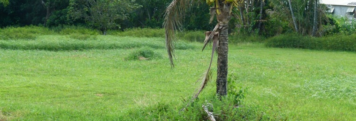 Local industriel  17822 m² à vendre à Matoury (97351)