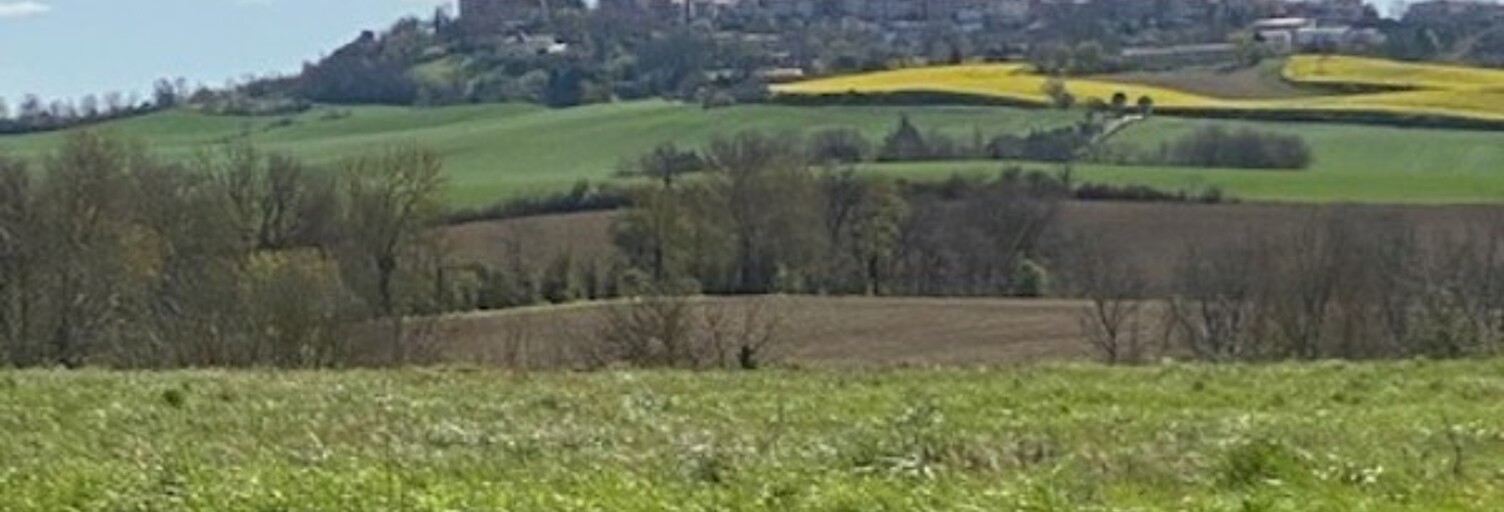 Terrain  2500 m² à vendre à Saint-Julia (31540)