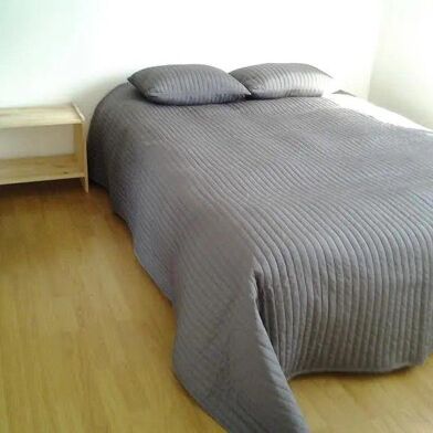 Appartement 1 pièces 500 €