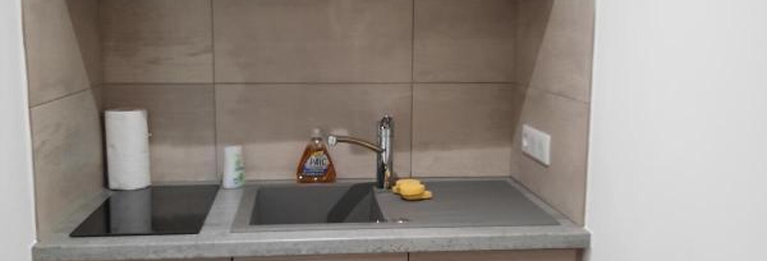 Appartement 1 Pièce 17 m² à louer à Bron (69500)