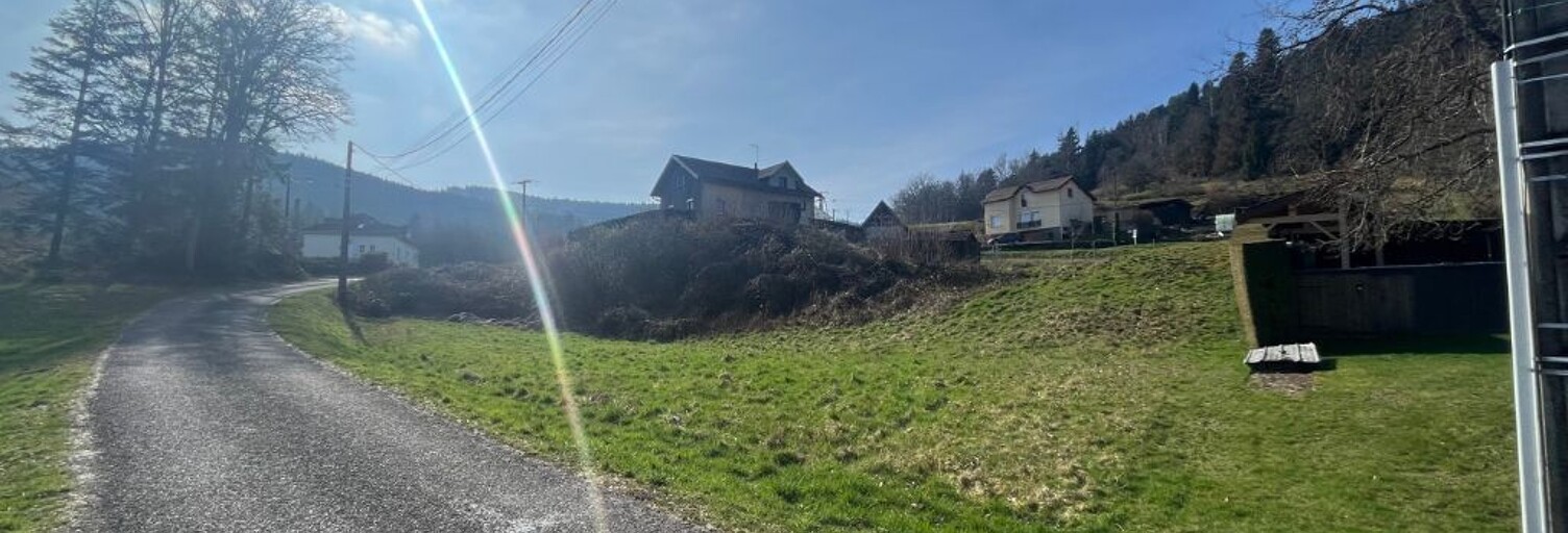 Terrain  1295 m² à vendre à Le Syndicat (88120)