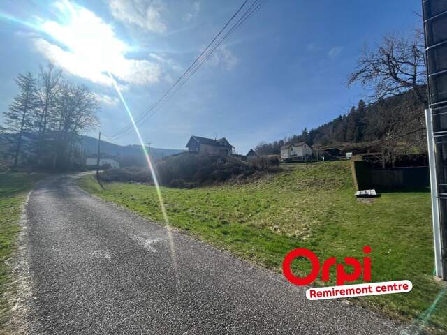 TERRAIN CONSTRUCTIBLE - LE SYNDICAT — photo du bien