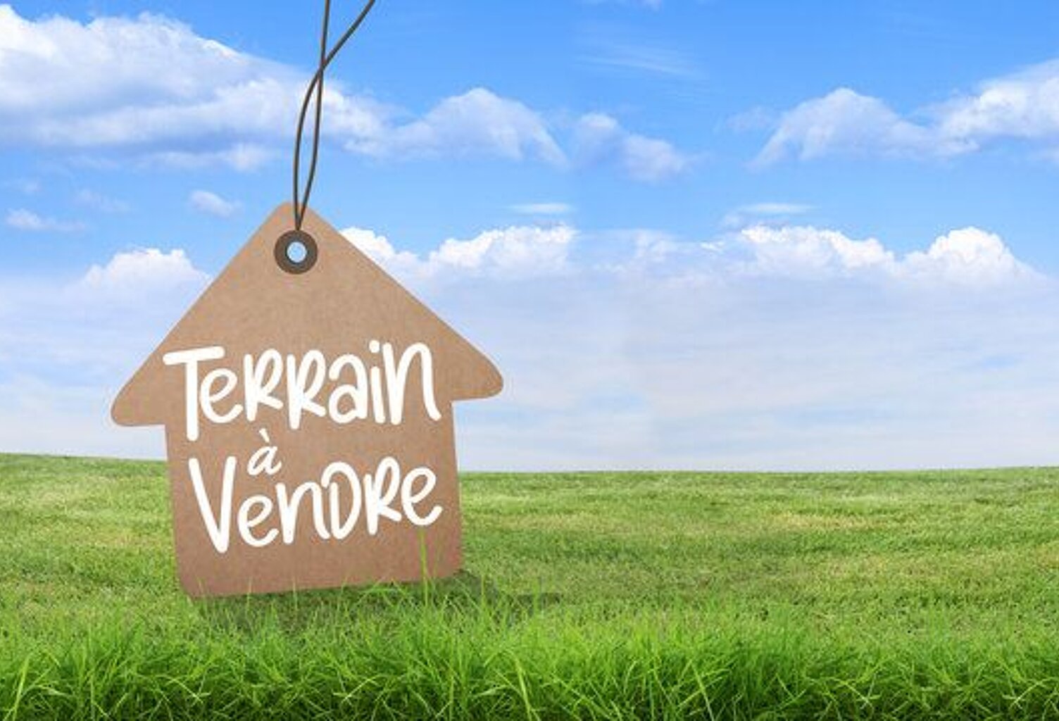Terrain À Vendre — photo 1