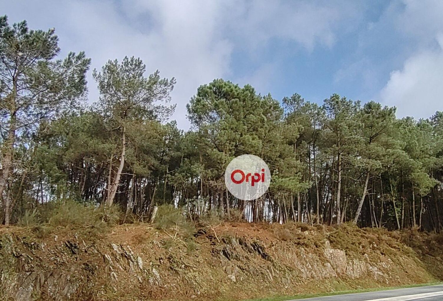 Terrains Boisés - Campagne de Pluherlin (Morbihan) — photo 1