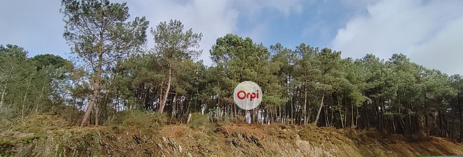 Maison  49615 m² à vendre à Pluherlin (56220)