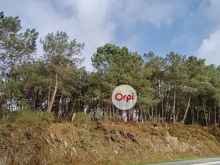 Terrains Boisés - Campagne de Pluherlin (Morbihan) — photo 1