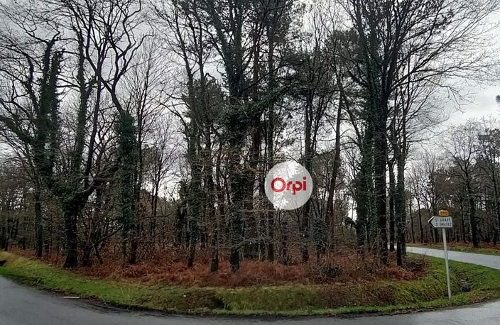 Terrains Boisés - Campagne de Pluherlin (Morbihan) — photo 3
