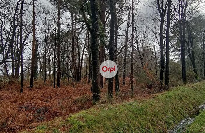 Terrains Boisés - Campagne de Pluherlin (Morbihan) — photo 4