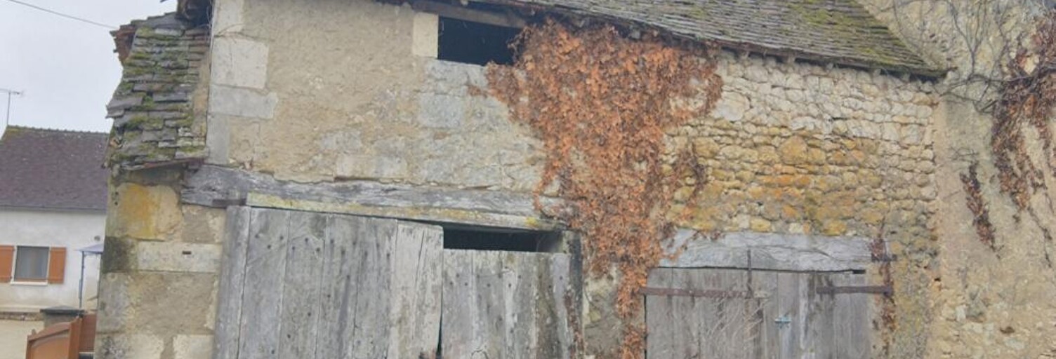 Immeuble  95 m² à vendre à Sauzelles (36220)