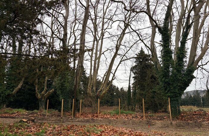Terrain de loisirs Pujaut 1682 m2 61000 — photo 2