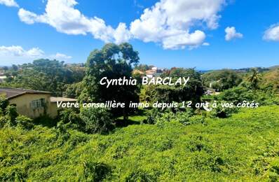 Terrain constructible — photo du bien