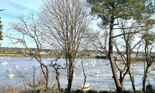 Maison 5 Pièces 109 m² à vendre à Camoël (56130)